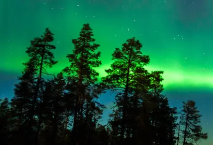 Travelling through northern Finland in winter luxury travel