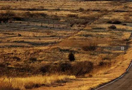 A Tale of Two Roads: Route 66 and the Pacific Coast Highway luxury travel