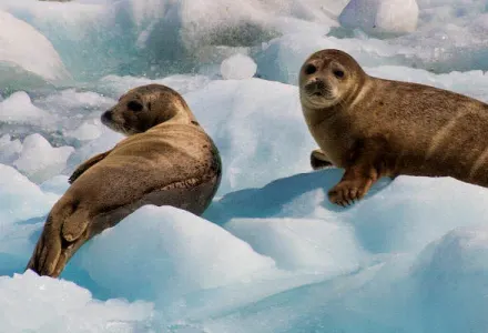 Moments and Memories of the Quintessential North luxury travel