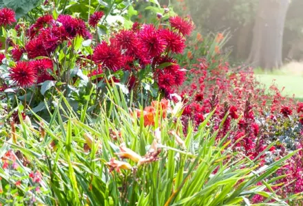 Cunard's new Australian gardening cruise luxury travel