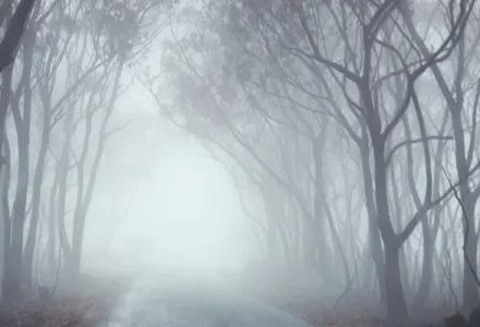 Australia's most terrifying encounters luxury travel