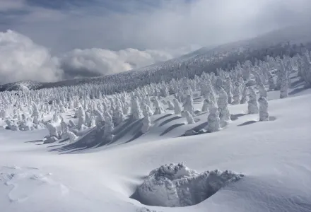 Skiing With Monsters In Japan luxury travel