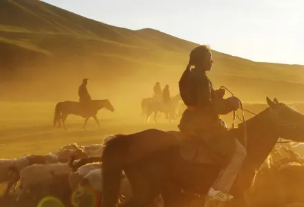 Where to go in 2025 Banne