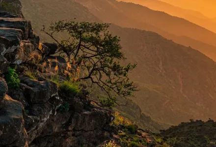 Banner for Oman: A One of a Kind Destination