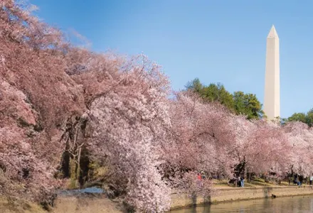 How to Spend 48 Hours in Washington, DC banner