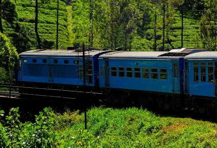 5 Reasons To Make Sri Lanka Your Next Luxury Holiday luxury travel