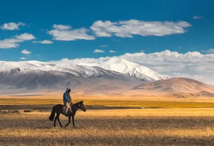 Mongolia Eagle Festival Banner