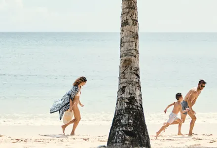 LIL announcement luxury holiday Banner