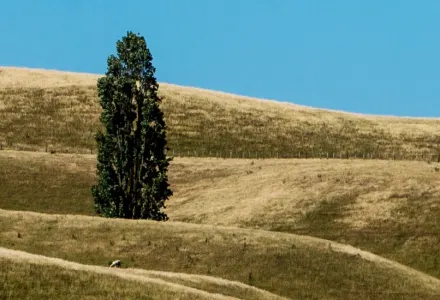 New Zealand's most luxurious stays luxury travel