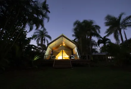 On Safari... In The Cook Islands luxury travel