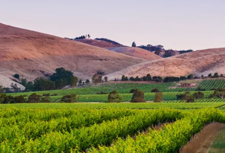 Keep Dreaming of...Adelaide luxury travel