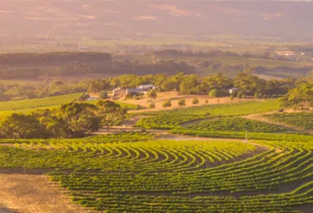 10 reasons why South Australia should be your next luxury getaway luxury travel