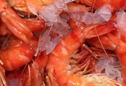 Sydney, a world class destination for food luxury travel