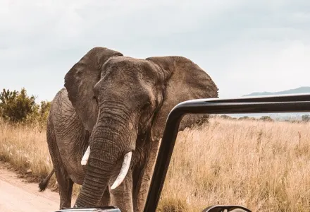 To be a travel expert, you need to travel luxury travel