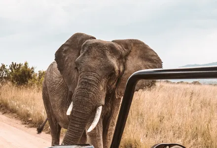 To be a travel expert, you need to travel luxury travel