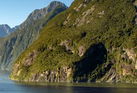 Navigating New Zealand on Noordam luxury travel