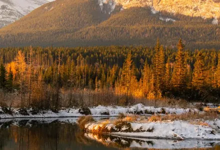 Canada Mini Campaign Banner