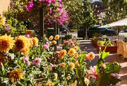 Beyond the Slopes: Luxury Experiences in the World’s Most Exclusive Ski Destinations BANNER