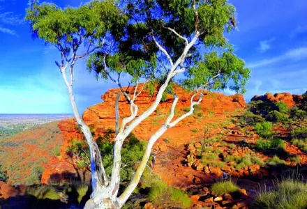 Discover the Magic of the Red Centre luxury travel
