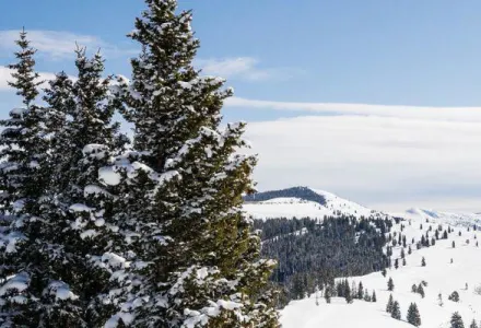 Banner Advisor Story: Colorado's Perfect Pistes