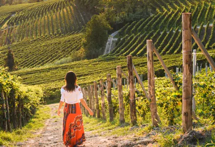 Where to go on holiday based on your favourite wine luxury travel