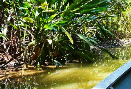 Top 10 Sunny Christmas Destinations luxury travel