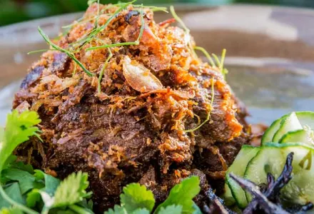 The Curated Plate - Culinary Festival luxury travel