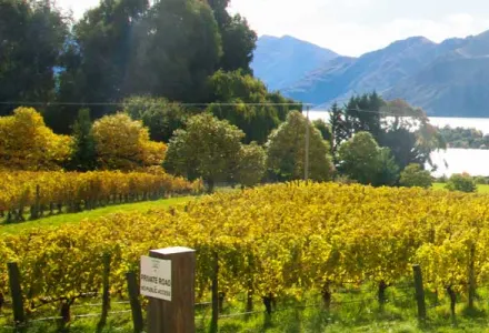 New Zealand: The Perfect Weekend Overseas Getaway luxury travel