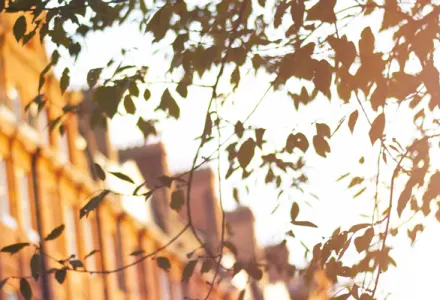 Chelsea: Beyond the Flowers and Football luxury travel