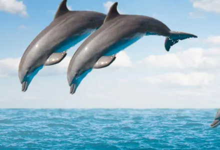 The Tahitian Island you've never heard of luxury travel