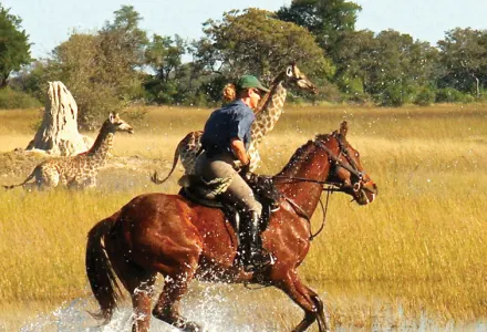 The Okavanga Delta from a New Perspective luxury travel