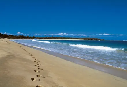 5 Free Experiences In Fiji luxury travel