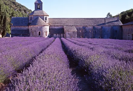 Top 5 Chateaux Experiences luxury travel