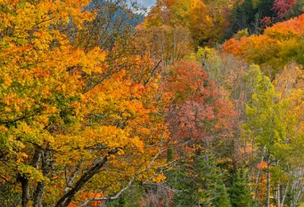 10 things to do outside New York City luxury travel