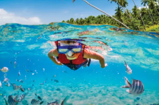 Mexico & Caribbean Banner