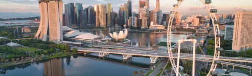 Singapore Banner