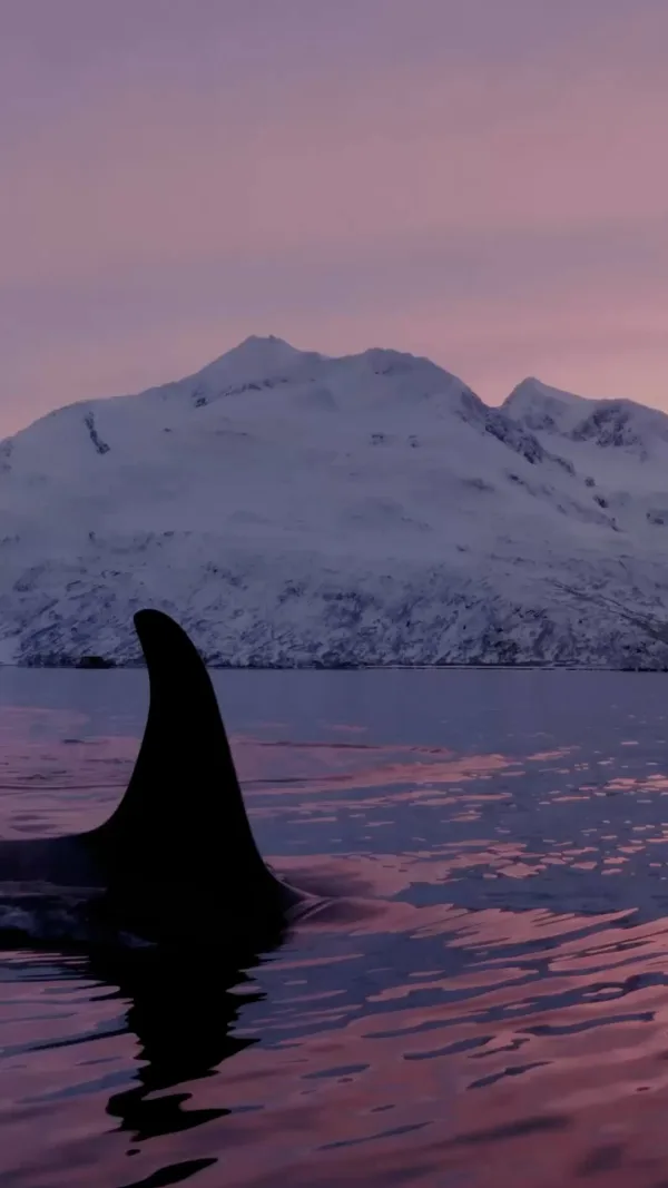 Luxury travel holidays