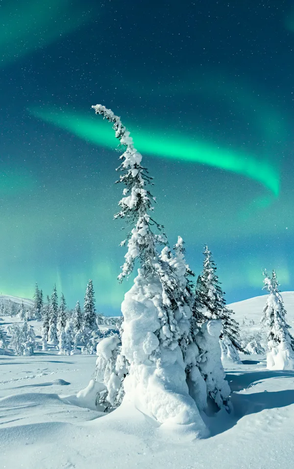 Finland_Header_Desktop_Lapland.jpg