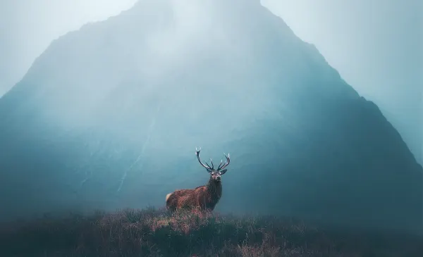 Scotland Luxury holiday Header Banner