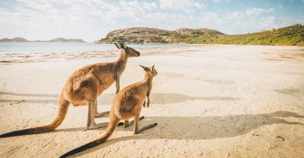 Sydney to Singapore Luxury Cruise