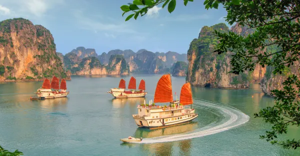 Premium Vietnam