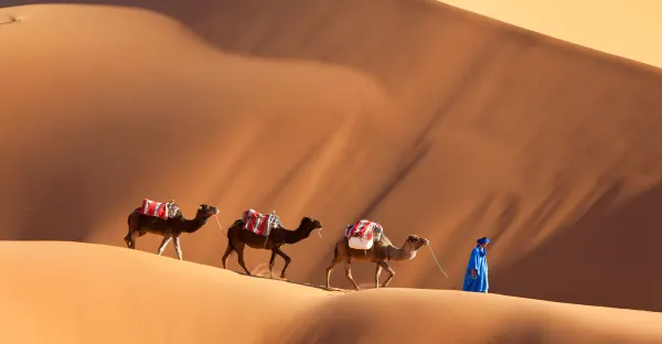 Premium Morocco in Depth