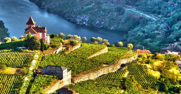 Enticing Douro - Roundtrip Porto