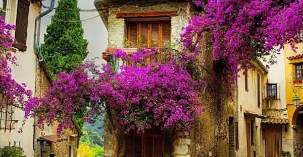 Colors of Provence - Arles to Lyon
