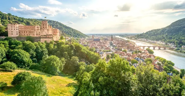 Captivating Rhine - Amsterdam to Zurich