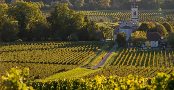 Taste of Bordeaux Wine Cruise - Roundtrip Bordeaux