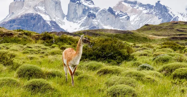 Patagonia: Edge of the World featuring Argentina, Chile, and a 4-Night Patagonia Cruise