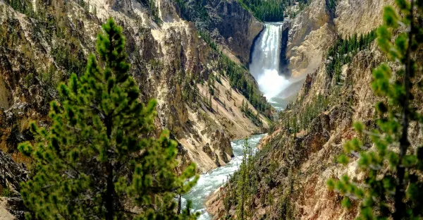 Northwest Uncovered: Sun Valley & Yellowstone featuring Bozeman, Boise, & Hells Canyon