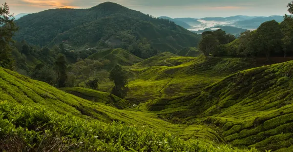 Discover Malaysia - 12 day Premium Itinerary