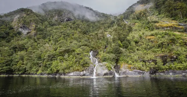 Discover New Zealand
